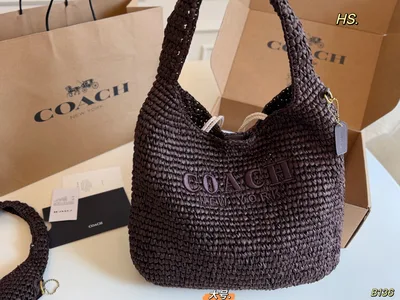 COACH Brooklyn Straw Hobo Bag